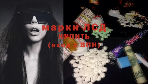 прущий лед Вяземский
