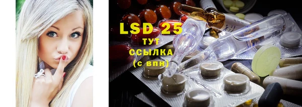 прущий лед Вяземский