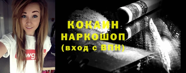 прущий лед Вяземский