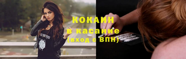 прущий лед Вяземский