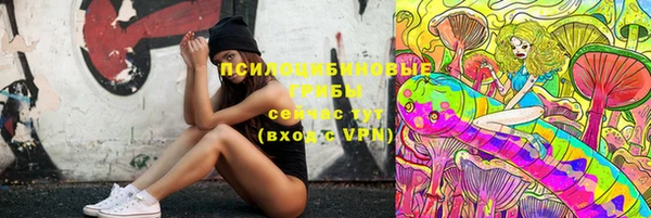прущий лед Вяземский