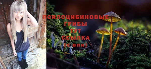 прущий лед Вяземский