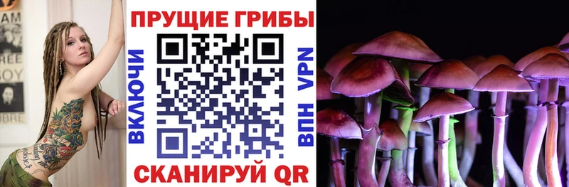 Галлюциногенные грибы Magic Shrooms  Купить где  Власиха 